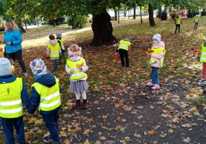Chłopcy i dziewczęta z nauczycielką szukają ciekawych okazów liści.
